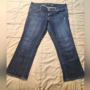 American Eagle artist crop size 14